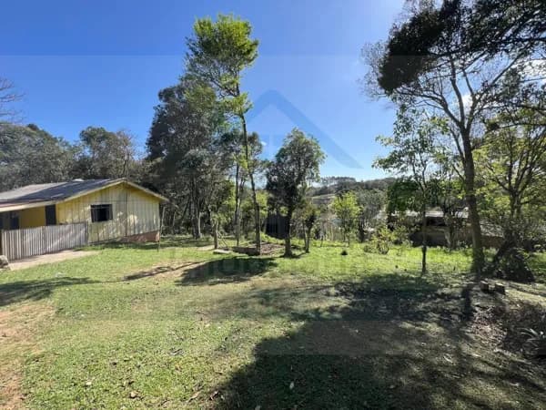 Fazenda/Sítios/Chácaras em São José dos Pinhais - Borda do Campo