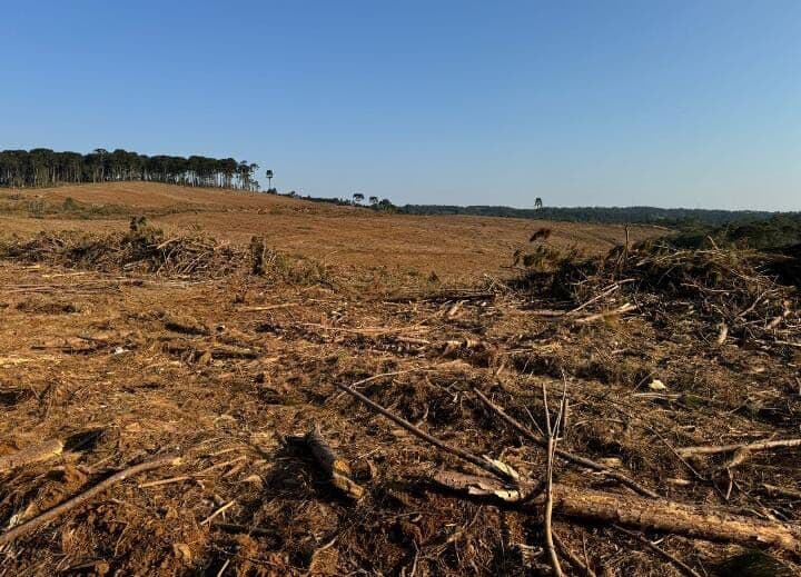 ✨ Fazenda – Oportunidade imperdível em Guarapuava / PR! ✨