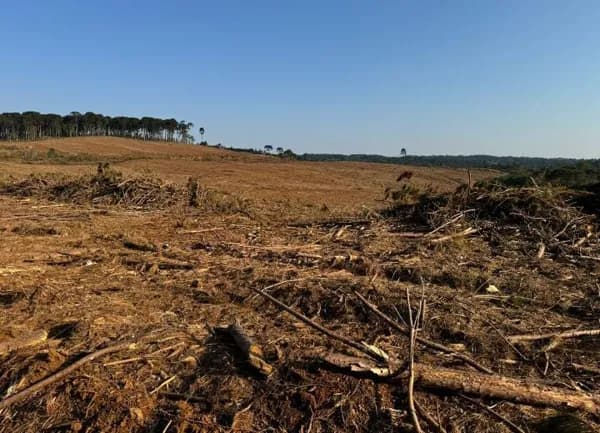 ✨ Fazenda – Oportunidade imperdível em Guarapuava / PR! ✨