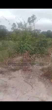 Lote/Terreno em Pontal do Paraná - Centro