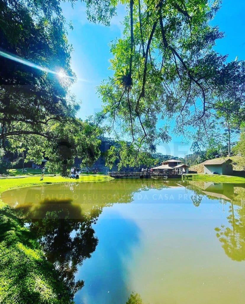 Fazenda/Sítios/Chácaras em Campina Grande do Sul - Centro/Sede