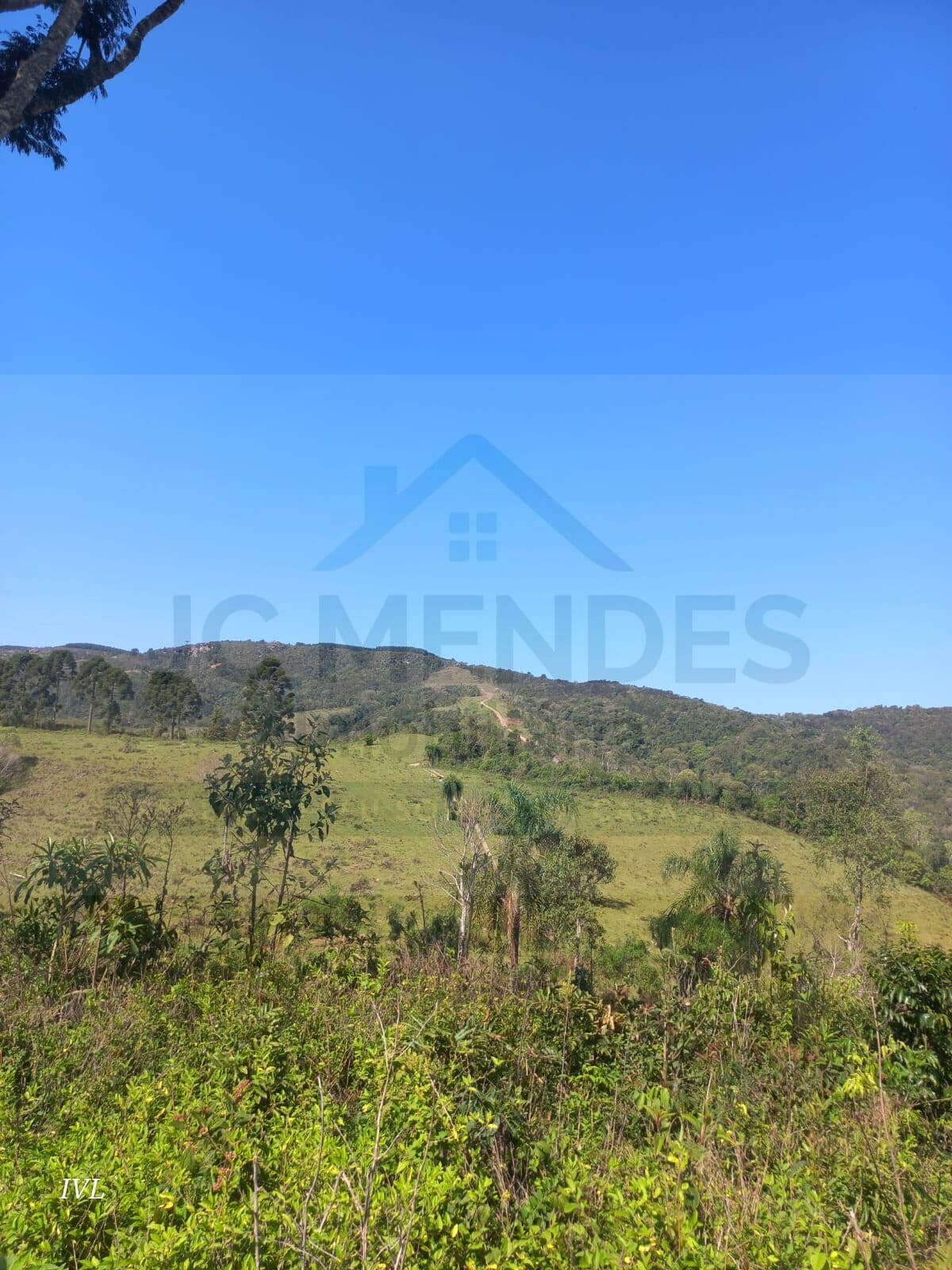 Fazenda/Sítios/Chácaras em Campo Largo - Área Rural de Campo Largo