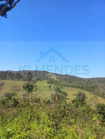 Fazenda/Sítios/Chácaras em Campo Largo - Área Rural de Campo Largo