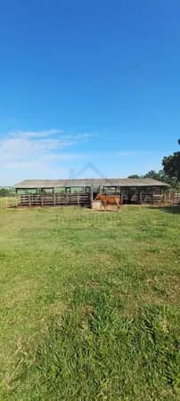 FAZENDA À VENDA – REGIÃO DE São José do Rio Preto