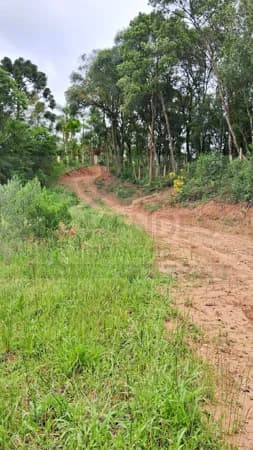 Fazenda/Sítios/Chácaras em Araucária - Centro