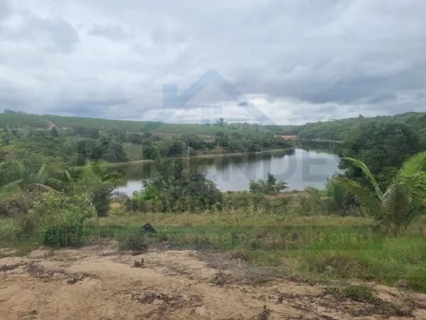 Fazenda/Sítios/Chácaras em Nova Venécia - Centro