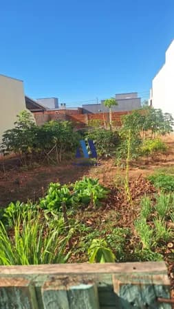 TERRENO PLANO EM MIRASSOL - MAIS PARQUE