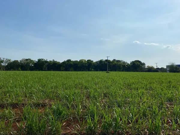 Lote/Terreno em Limeira - Bairro da Geada