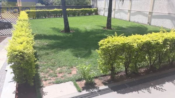 Casa Térrea para Venda em Vila Dona Engracia Agudo Romão Catanduva-SP