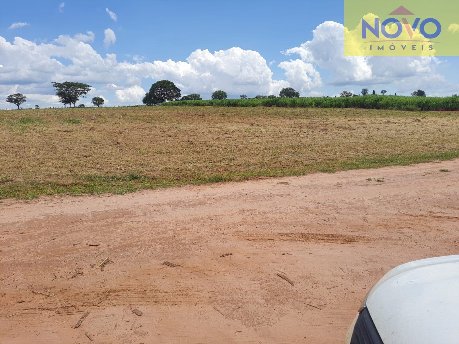 Fazenda/Sítios/Chácaras em Cedral - Zona Rural