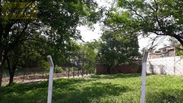 Terreno para Venda em São Francisco Catanduva-SP