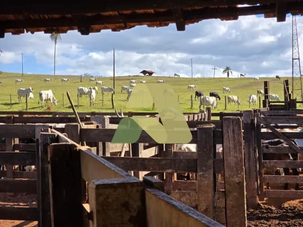 FAZENDA PARA PECUÁRIA À VENDA – CÁSSIA/MG Excelente oportunidade para investimento e produção pecuária em uma propriedade completa, com ótima estrutura, abundância de água e localização estratégica.