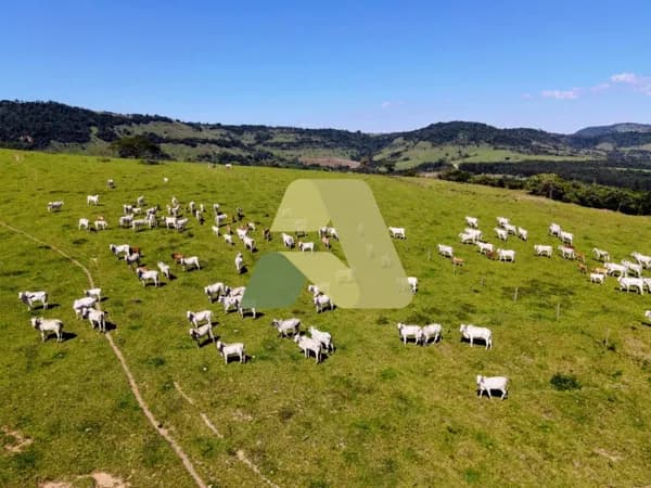 FAZENDA À VENDA – CÁSSIA/MG 📍 Localizada a apenas 15 km de Cássia 🌱 Área total de 192 hectares ✅ Excelente oportunidade para pecuária ✅ Possibilidade de conversão de parte da área para lavoura ✅ Curral instalado ✅ Casa simples na propriedade ✅ Boa logíst