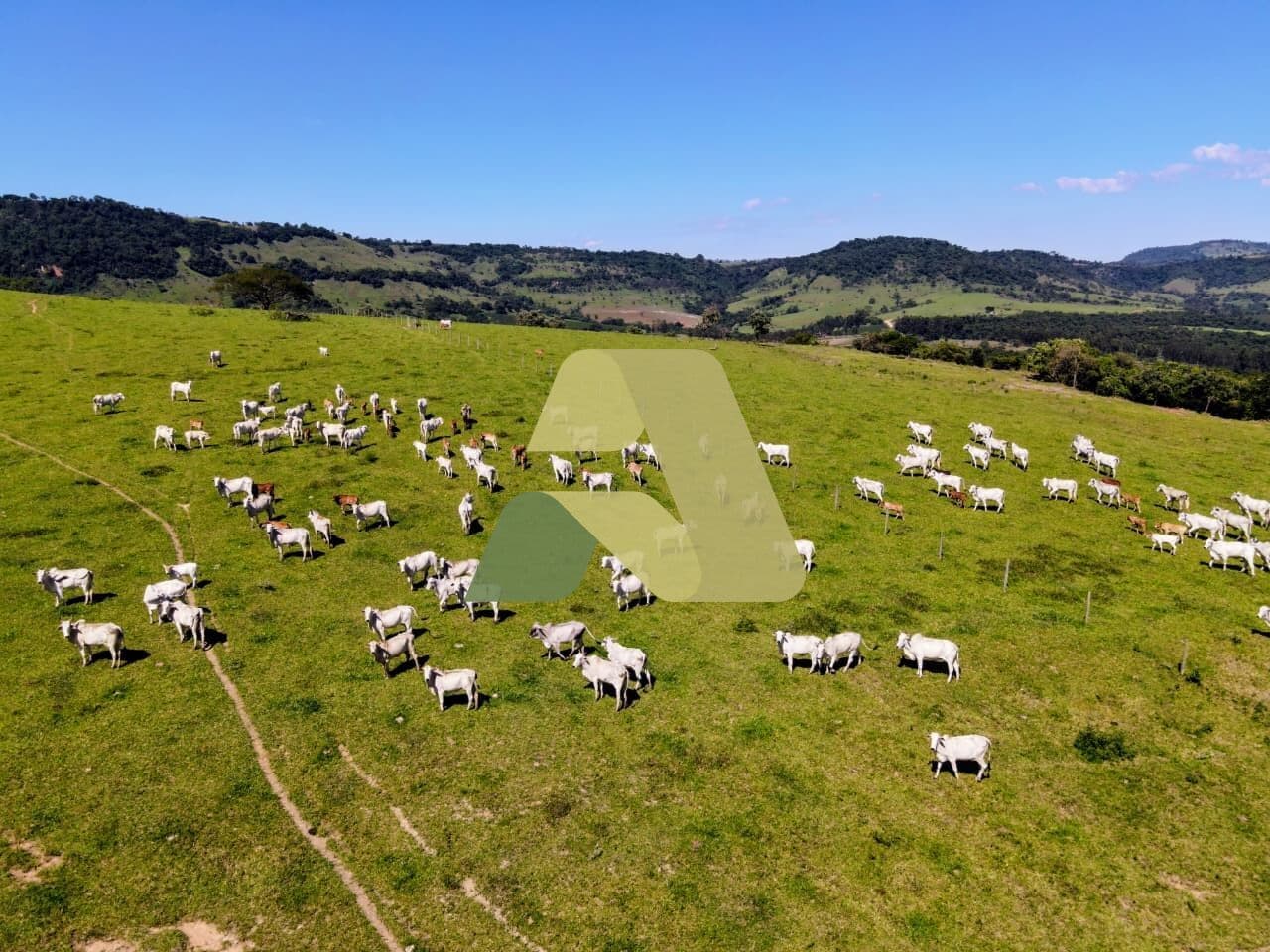 FAZENDA À VENDA – CÁSSIA/MG 📍 Localizada a apenas 15 km de Cássia 🌱 Área total de 192 hectares ✅ Excelente oportunidade para pecuária ✅ Possibilidade de conversão de parte da área para lavoura ✅ Curral instalado ✅ Casa simples na propriedade ✅ Boa logíst
