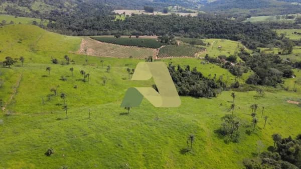 Sítio à Venda em Cássia - MG | 6 Alqueires | Dupla Aptidão 🌿