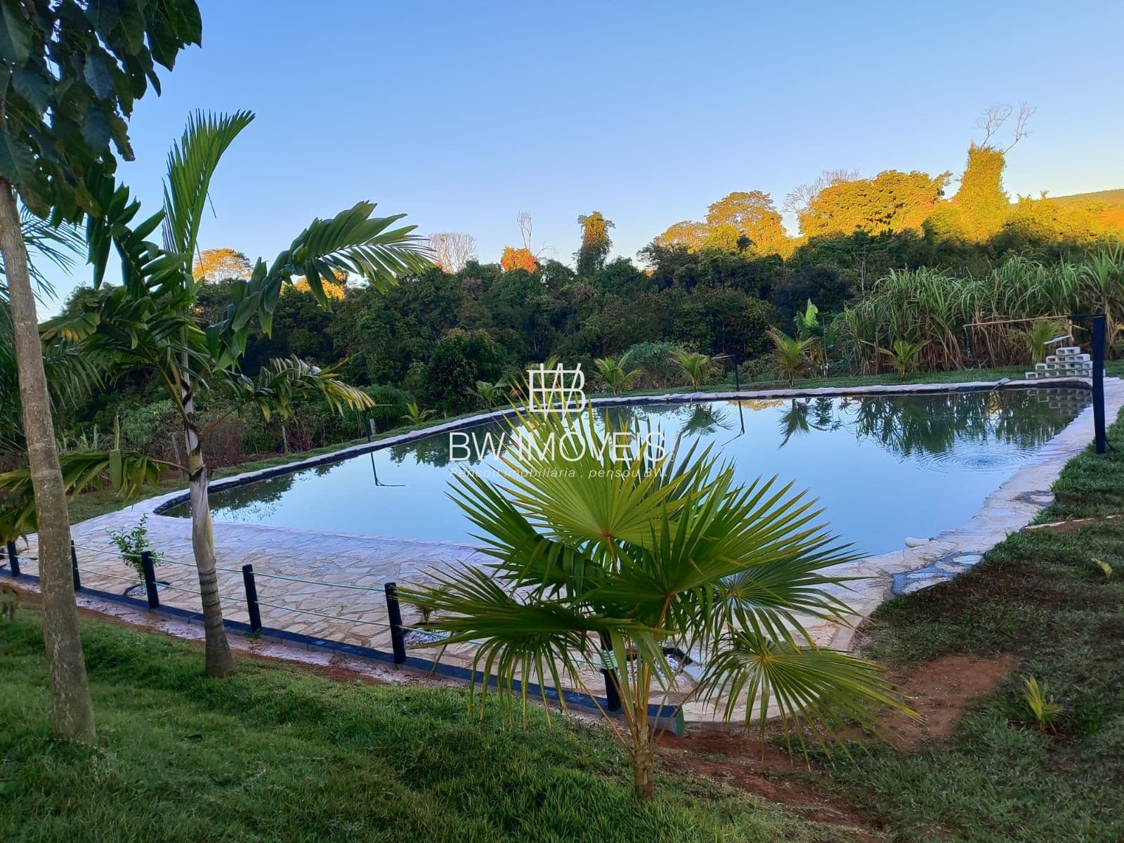 🌿🏡Chácara à Venda em Joanápolis GO | 5.000m², Casa Nova - Estrutura Completa