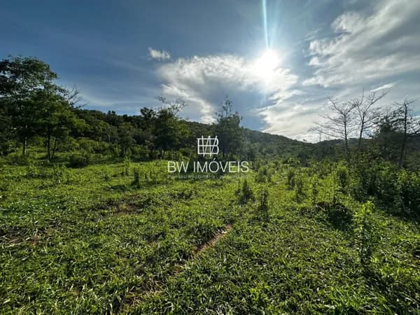 Fazenda 21 Alqueires à Venda em Jaraguá-GO – Água Abundante e Acesso Fácil