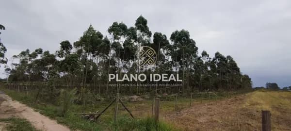 Terreno Rural 20.000 m² (com plantio de eucalipto)