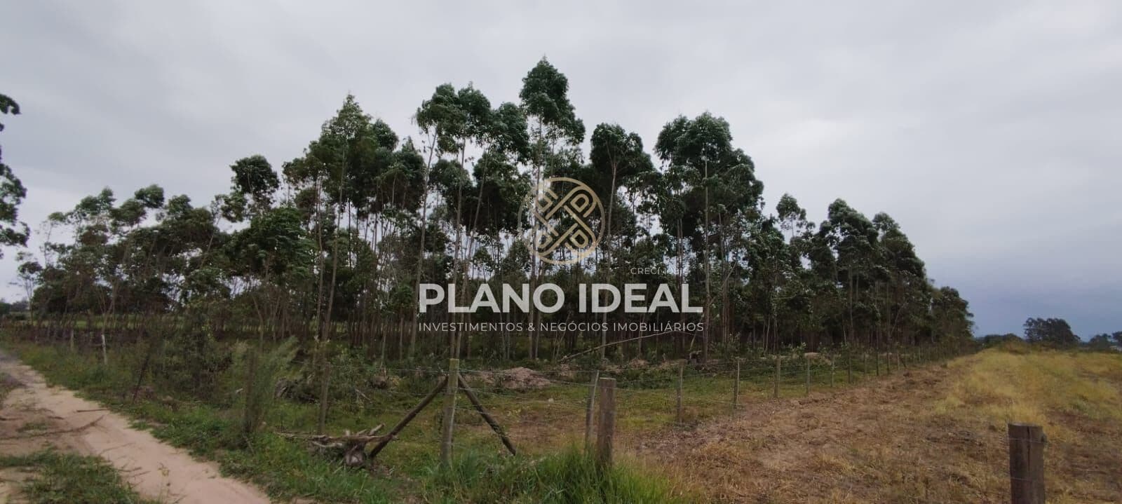 Terreno Rural 20.000 m² (com plantio de eucalipto)