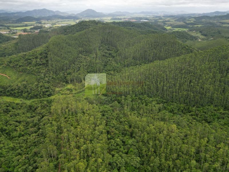 Fazenda 700 hectares em Itajai/SC