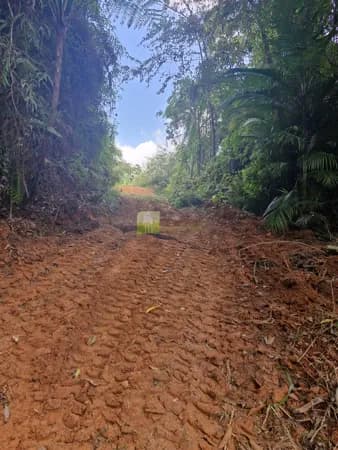Grande área para sitio no Bairro Tomaz Coelho em Brusque