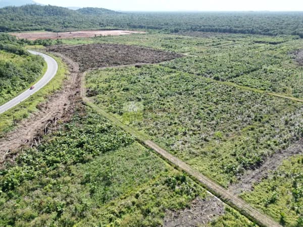 Área Logística e Industrial em Garuva