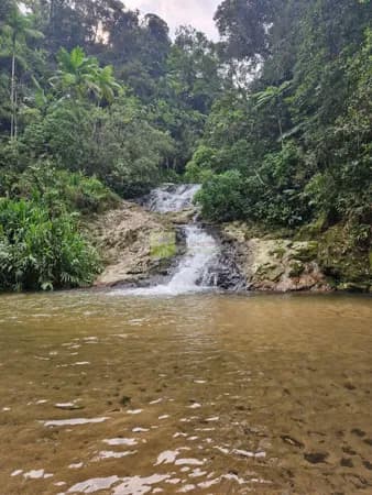 Grande área para sitio em Brusque