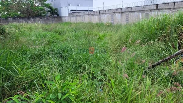 Terreno Lote em Três Barras, Linhares/ES