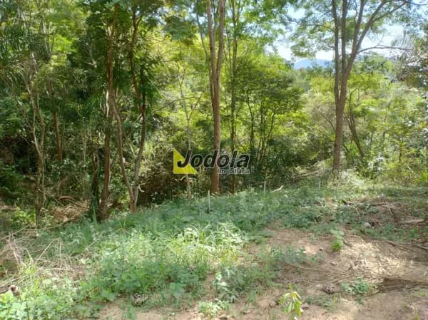 Terreno à Venda – Luís Carlos - Guararema/SP