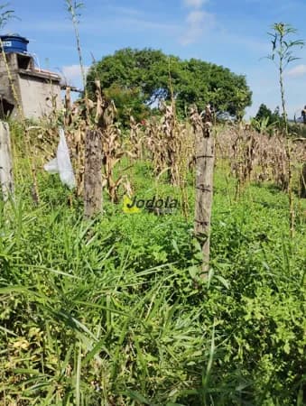 Terreno à Venda – Bairro Santa Teresa - Santa Branca/SP
