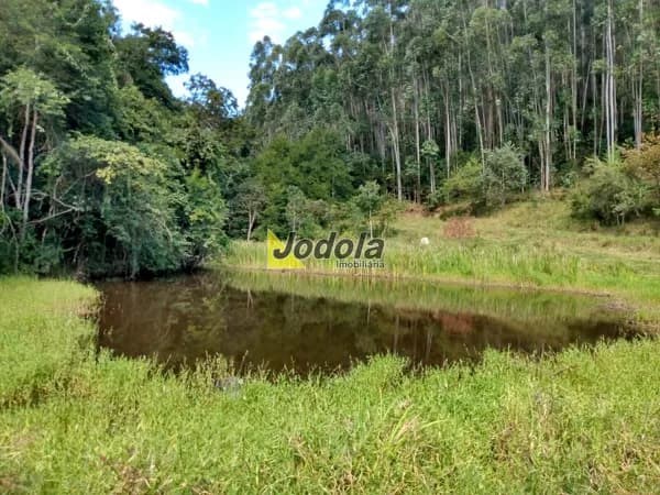 Área Rural à Venda 35 Hectares - Santa Branca/SP