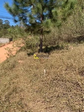 Terreno à Venda em Santa Branca/SP – Bairro Costão/SP