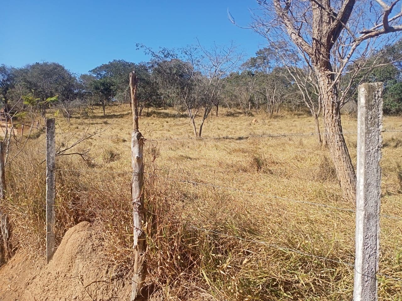 Terreno à Venda – Excelente Localização na BR-381, Oliveira/MG