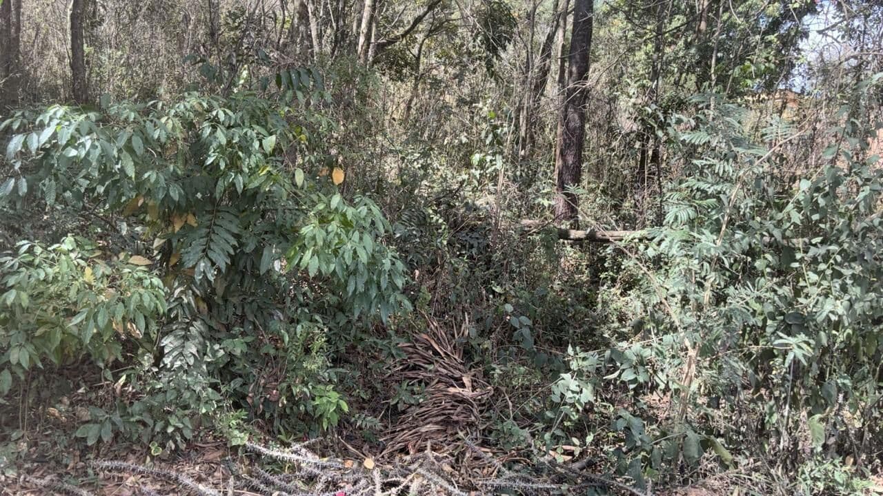 LOTE À VENDA NO BAIRRO FERNANDO COSTA EM SÃO JOAQUIM DE BICAS
