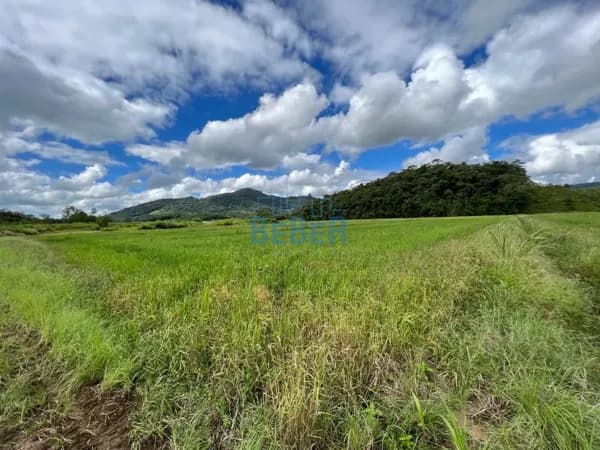 Terreno à venda no bairro Zona Rural em Massaranduba/SC