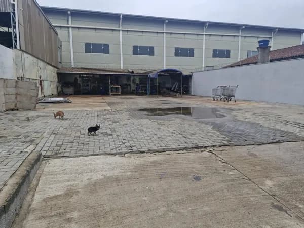 Lote murado no bairro Avaí em Guaramirim