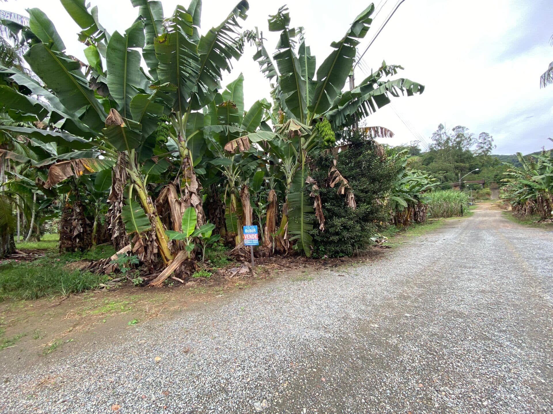 Lote/Terreno em Guaramirim - Beira Rio