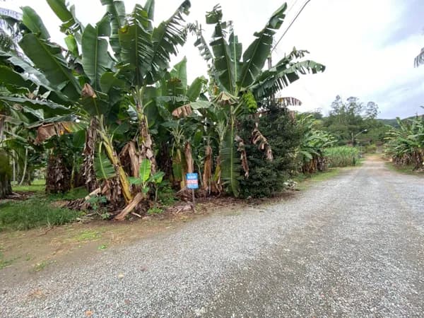 Lote/Terreno em Guaramirim - Beira Rio