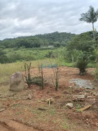 Lote/Terreno em Guaramirim - Rio Branco