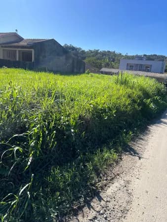 Terreno com 452,25 m² de Esquina no Rio Branco