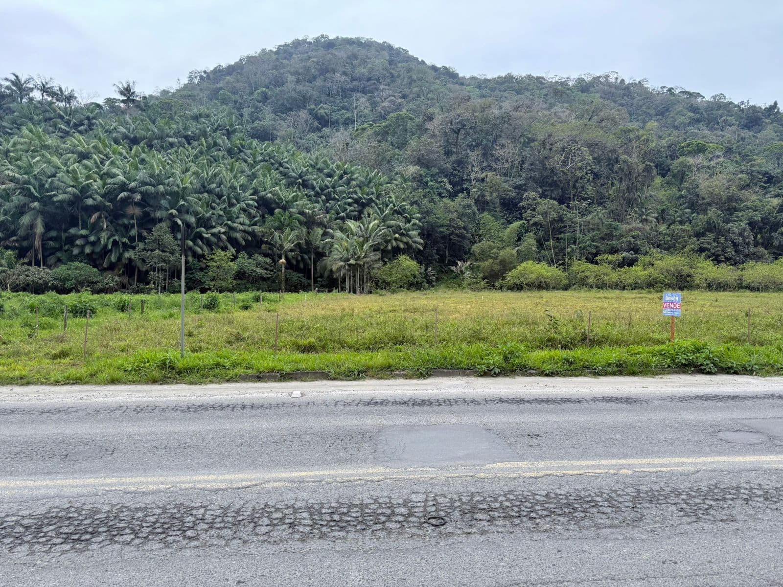 Terreno na Figueirinha