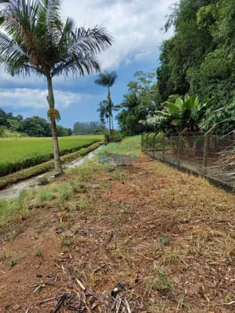 Terreno à venda no bairro Centro em Massaranduba/SC