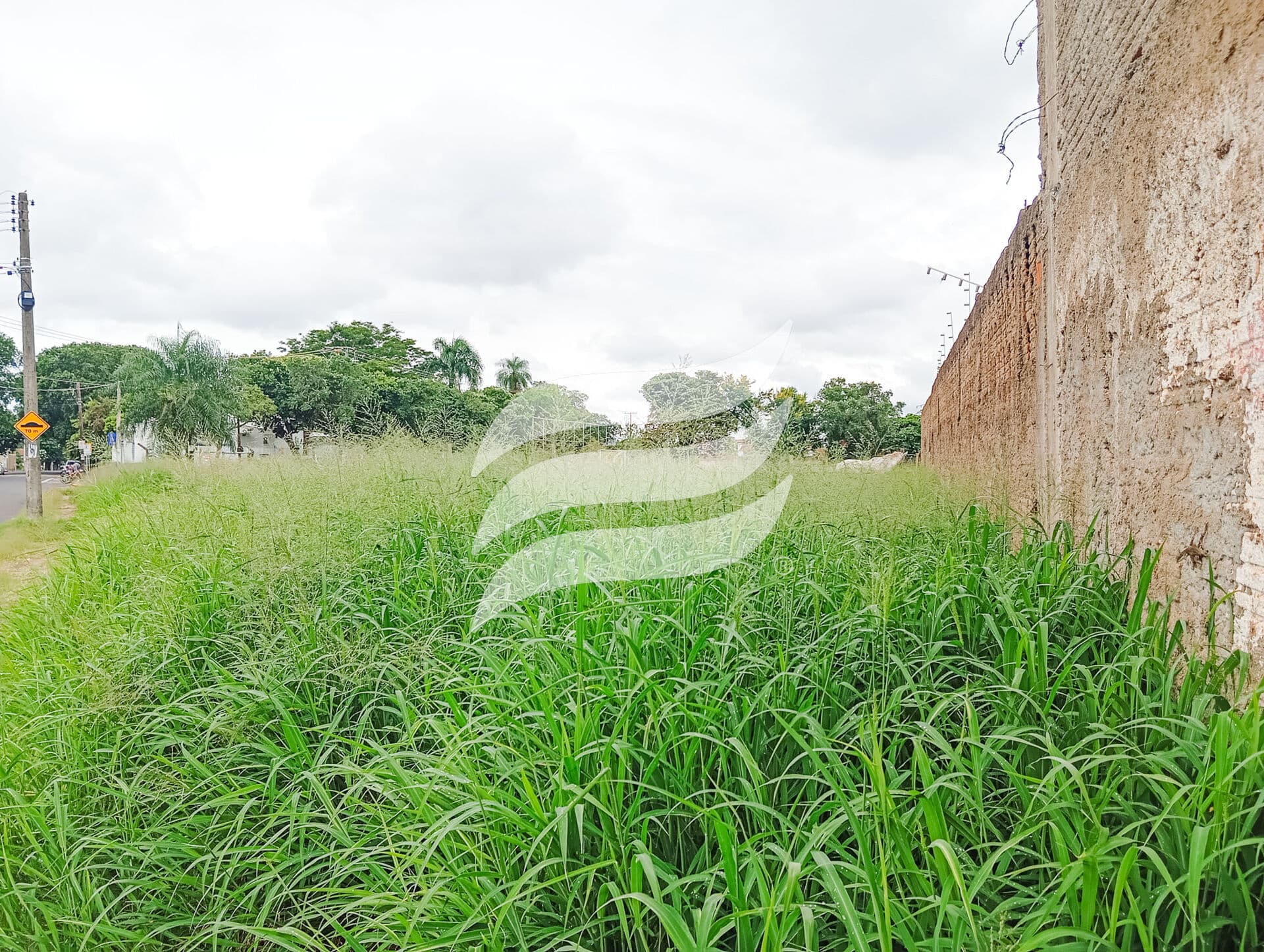 Terreno de 580 m² à venda no bairro Presidente, Araçatuba/SP