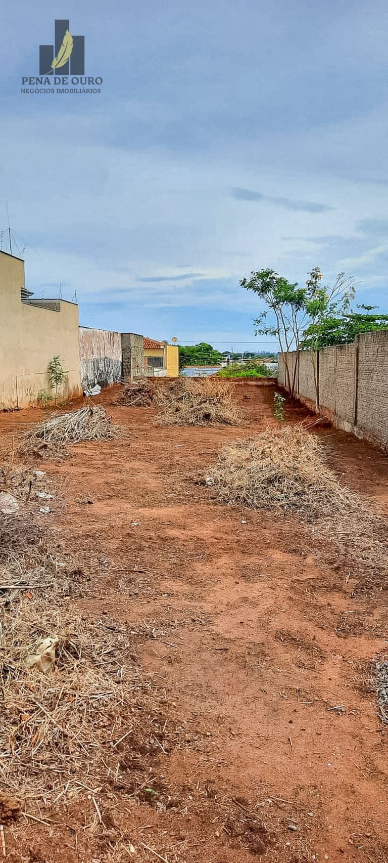 Área Comercial de 800 m² no bairro Panorama, Araçatuba/SP