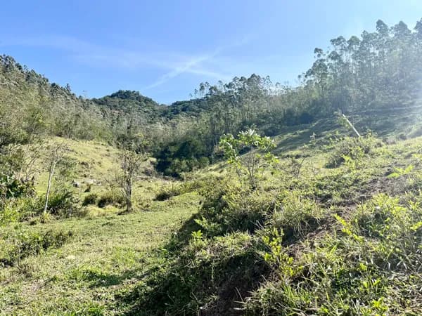 Terreno para Venda em São Gabriel Treze de Maio-SC