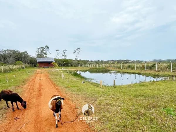 Fazenda/Sítios/Chácaras em Jaguaruna - Arroio Corrente