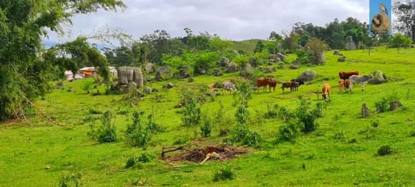 Sítio para Venda em Morro da Cruz Jaguaruna-SC