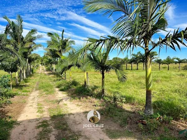 Fazenda/Sítios/Chácaras em Jaguaruna - Laranjal