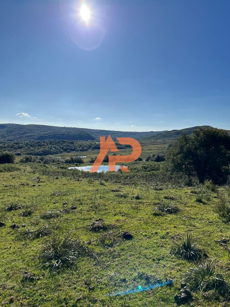 Fazenda/Sítios/Chácaras em Bagé - Área Rural de Bagé
