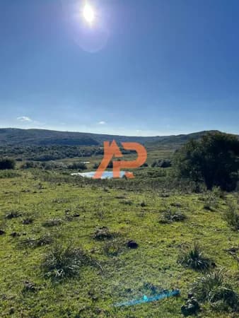 Fazenda/Sítios/Chácaras em Bagé - Área Rural de Bagé